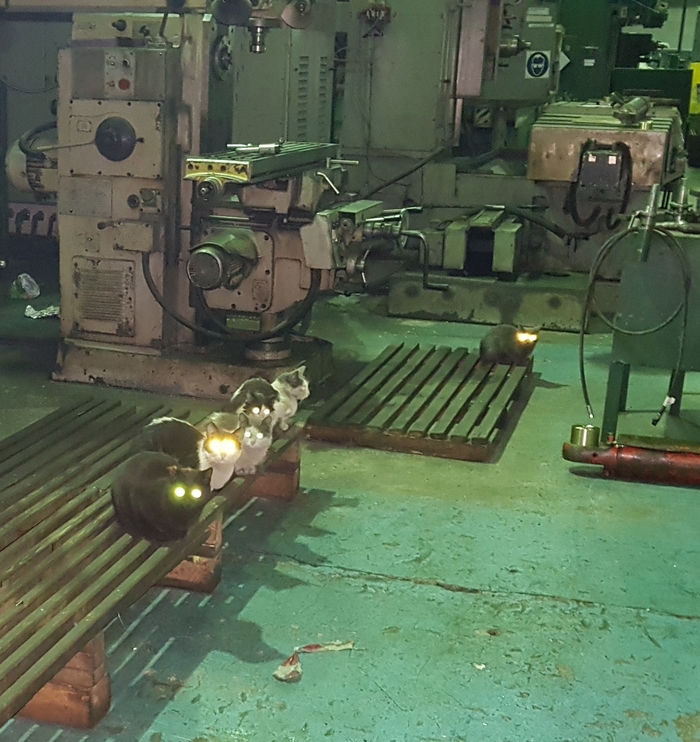 ������ �������