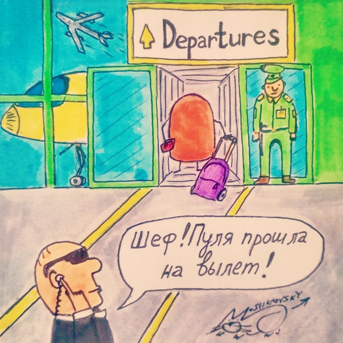 Even a bullet travels, but you don't) - My, Bullet, Out of the blue, Departure, Airplane, The airport, Travels, Moshkovsky, Cartridges