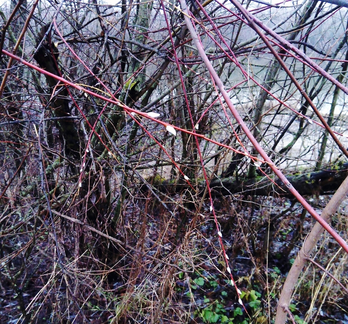 1 ������. � �������� ����� ������������.