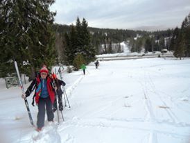 Travel to Norway or it happened because Common Sense left for lunch. - My, Skis, Scouts, Youth, Longpost, Norway, , Yurt