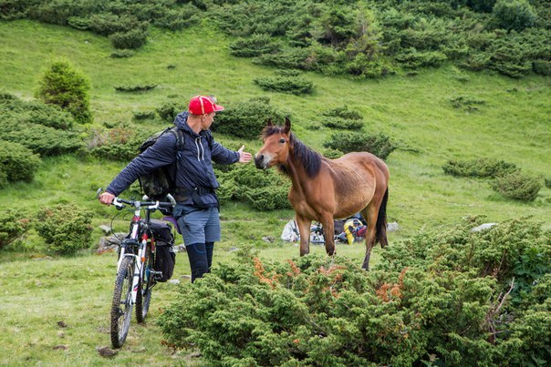 How we biked the Montenegrin ridge - My, Carpathians, Hoverla, A bike, Bike trip, , Dragobrat, White Elephant, , Longpost, Cross Country