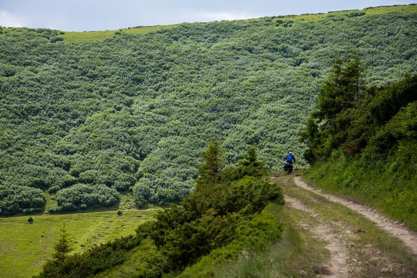 How we biked the Montenegrin ridge - My, Carpathians, Hoverla, A bike, Bike trip, , Dragobrat, White Elephant, , Longpost, Cross Country