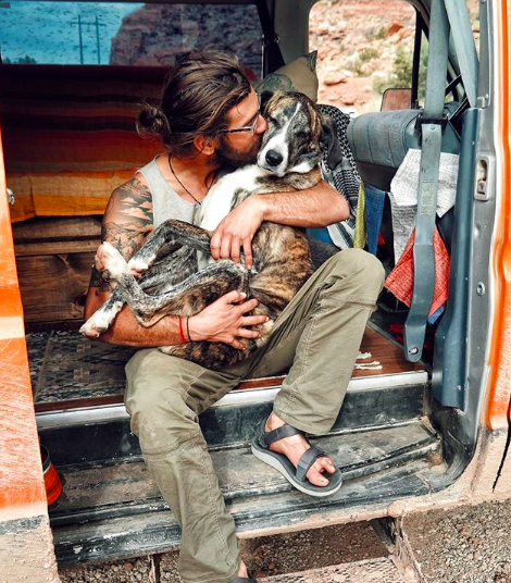 His name was “Puppy No. 6… One day a dream smiled at him – he was taken from a shelter and taken to travel the world! - Life stories, Dog, The rescue, Video, Longpost