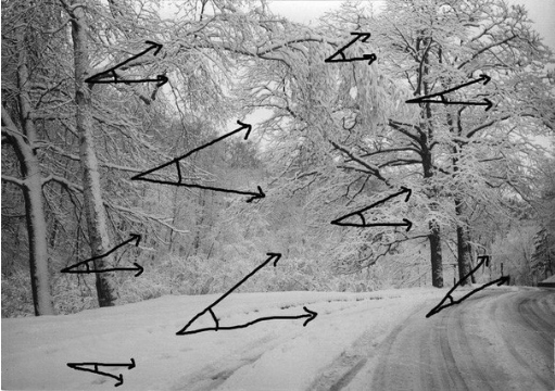 Прогноз погоды