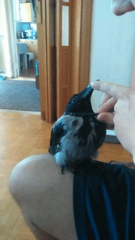   ?