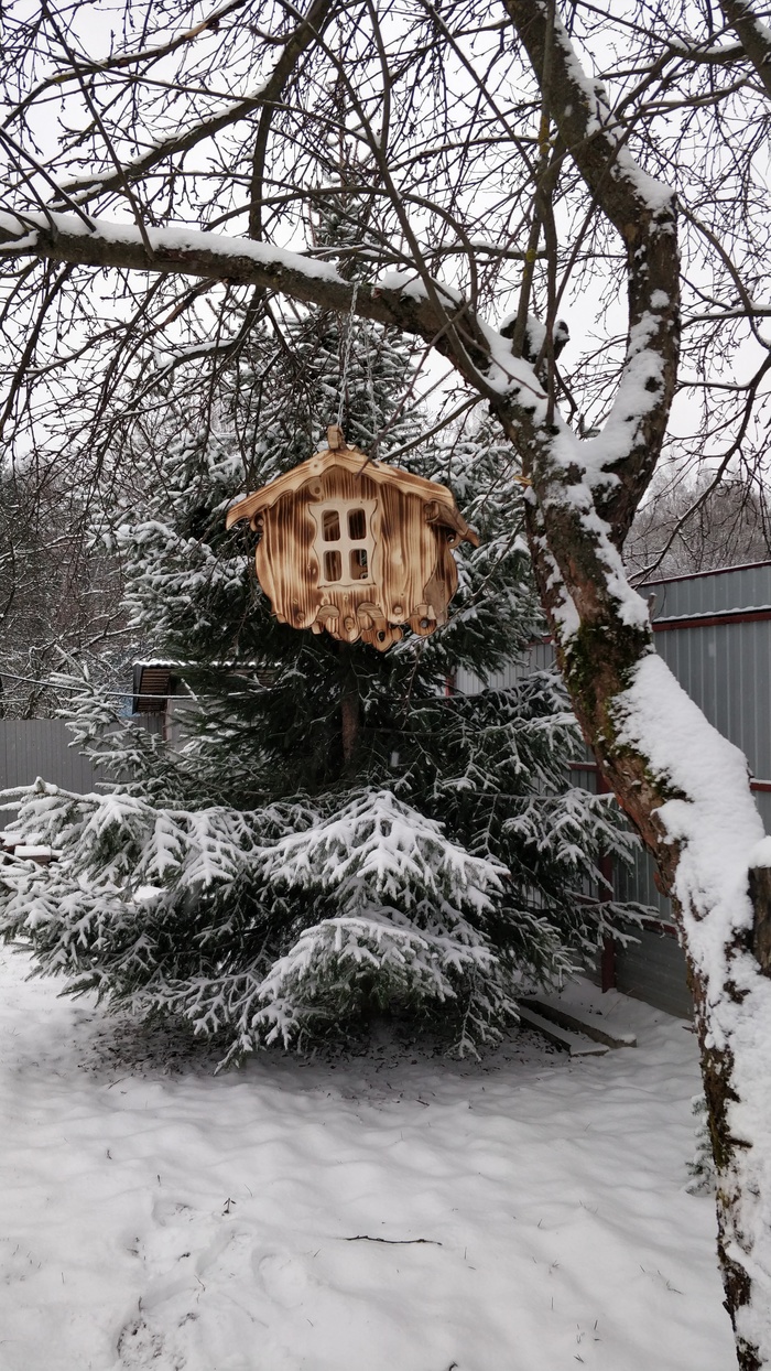 Winter's tale - My, Birdhouse, Winter