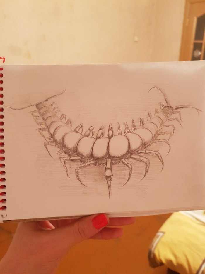 Противная хрень, но рисовать ее интересно - Моё, Сороконожка, Рисунок карандашом, Простой карандаш