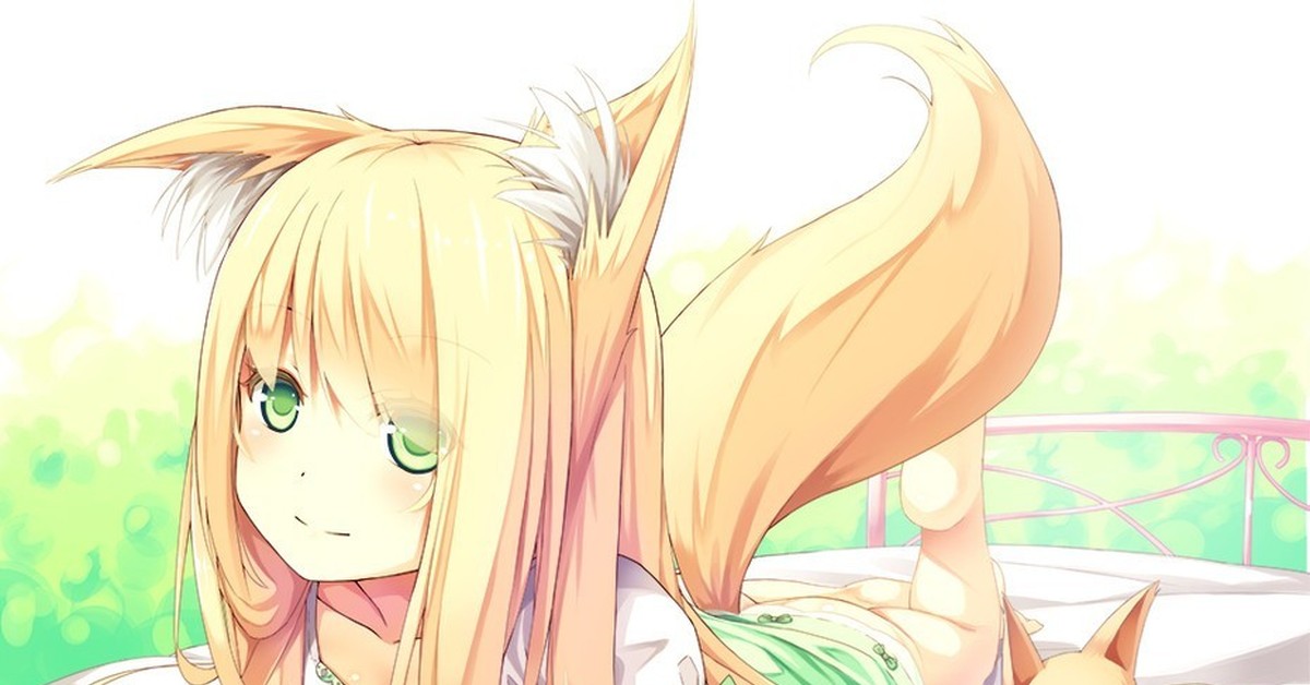 Неко лиса. Неко лиса. Неко лиса. Китсуне lolli фокс kemono. Кицунэ лиса лолли.