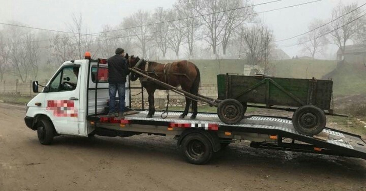 Прикольные картинки эвакуатора
