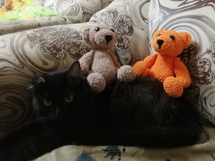 Bears - My, Bears, cat, 