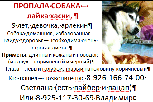 Lost husky - January 6 in Malakhovka, Lyubertsy district, Moscow region. - My, The dog is missing, Husky, Malakhovka, , Moscow region, Dog, Helping animals, Help