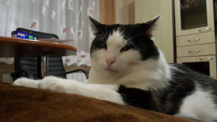 ����� ����� ��������� ����, � ��� ����������