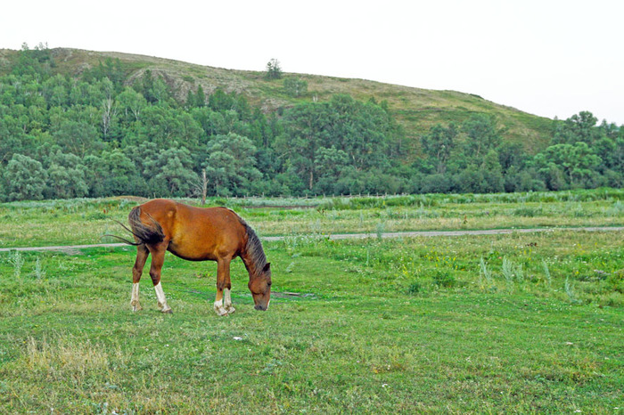 The delights of life in the wilderness-2-paranormal) - My, Bashkortostan, , Longpost