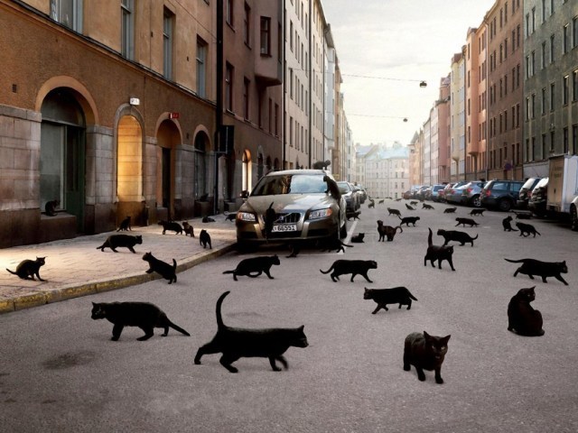What do superstitions and omens really mean? - Signs, Superstition, A life