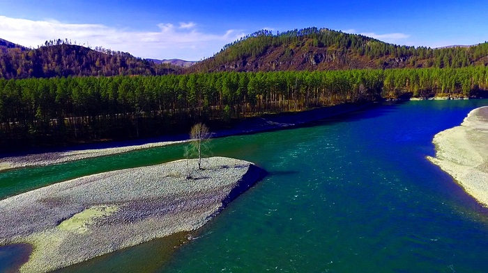 Turquoise river Katun in Altai in autumn colors - My, Altai, Mountain Altai, Katun River, Katun, Video, Longpost, Altai Republic