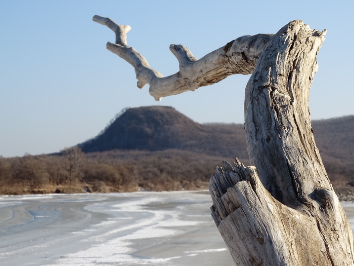 Коряга и вулкан. - Моё, Фотография, Приморский край, Октябрьский район, Река раздольная, Коряга, Вулкан, Композиция, Длиннопост