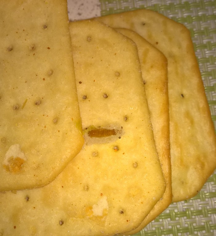 TUC biscuits with worms and cheese - My, Cookies, Tuc, Worm, Poor quality, Appetite, Longpost