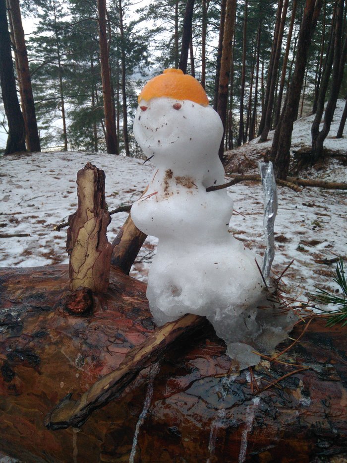 Snowmen are not the same now ... - My, Winter, Central Federal District, snowman, No snow, Longpost