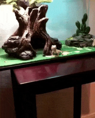 !