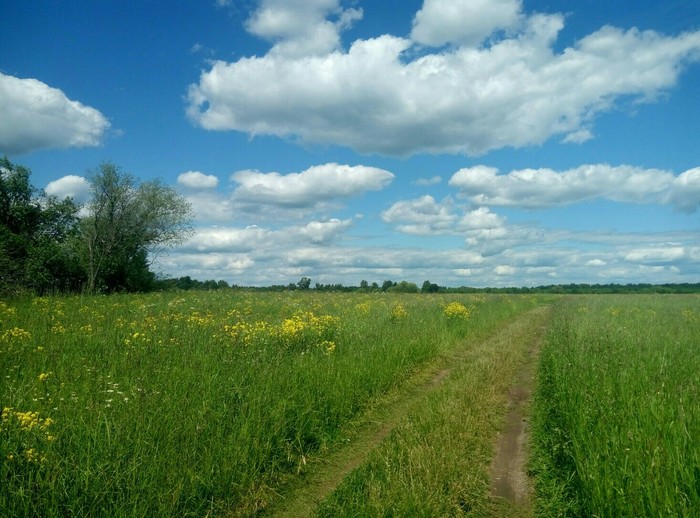 I will also share the beauty of my native land - My, Landscape, Dubna, Volga, Summer, The photo, Longpost, Volga river