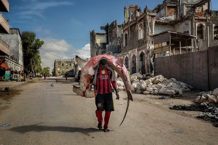 A man carries a huge hammerhead shark through the streets of Mogadishu, Somalia - The photo, Shark, Somalia