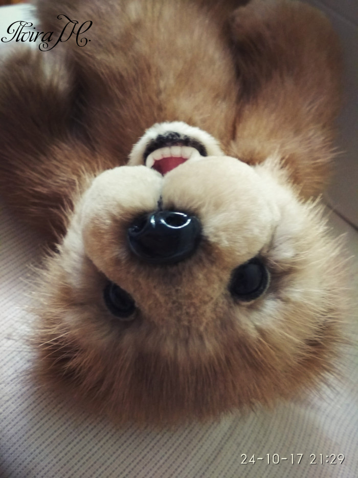 Teddy bear in the style of nature - My, The Bears, Nature, Teddy bear, Interior toy, Present, Presents, Mink, Longpost