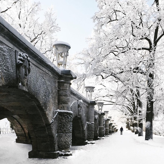 Зимняя красота в Царском Селе