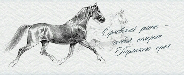 Пермский конный завод №9 покинул свою историческую родину