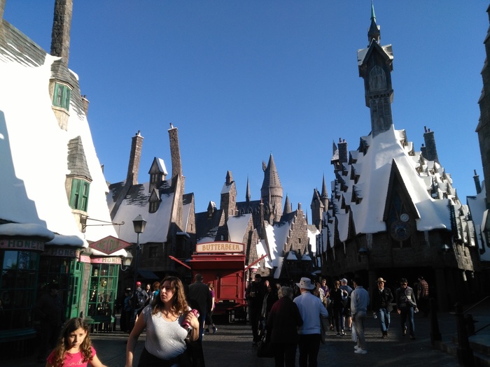 Ollivander's shop from the world of Harry Potter. Part 1 - My, Harry Potter, Ollivander, Just a very long post, Magic wand, Magic, Longpost