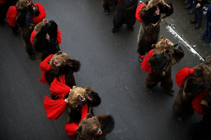 Traditional parade in bearskins of the inhabitants of the Romanian town of Comanesti - Girls, Brown bears, Parade, Romania, Longpost