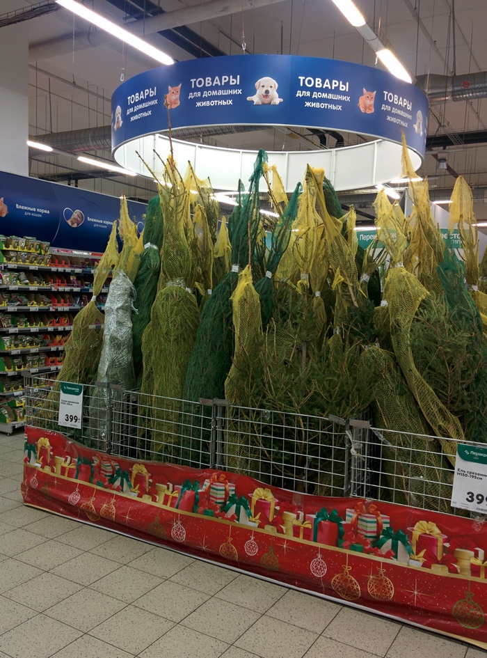 ������ ��� ��������