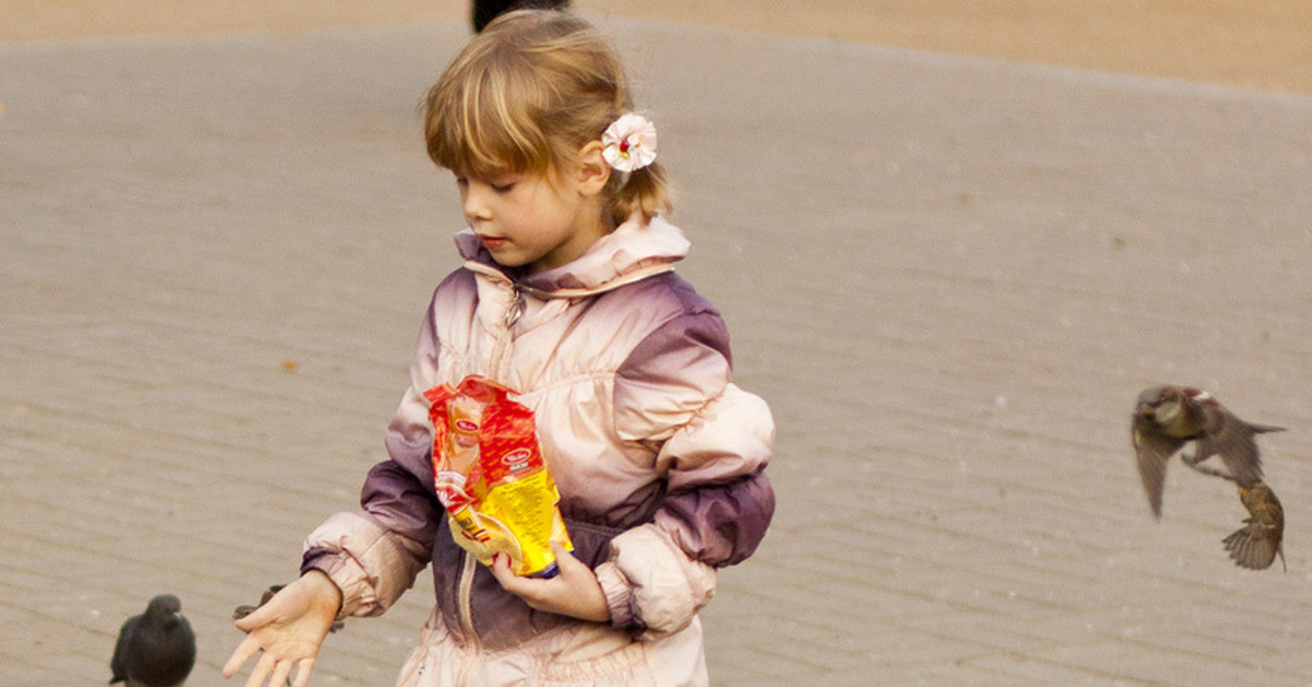 маленькие девочки кормят голубей. девочка кормила голубей сначала было. задача про голубей. математика 1 класс часть 2 стр 19 про голубей ответ. девочка кормила голубей сначала было.