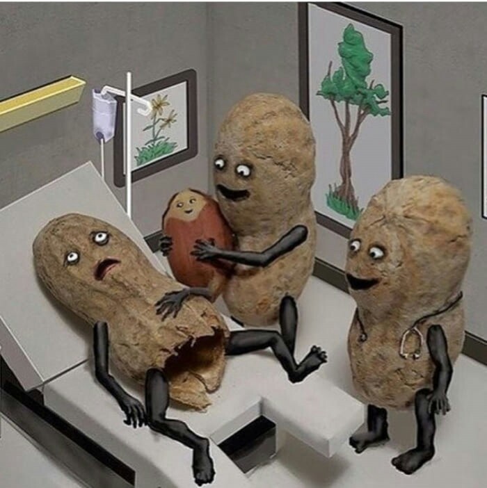 Congratulations! You have a nut! - Kripota, Little, Peanut, Nuts