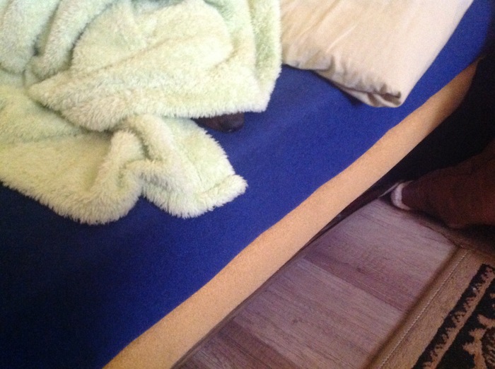 Game: Find the dog - My, Dog, Nose, A blanket, Sofa