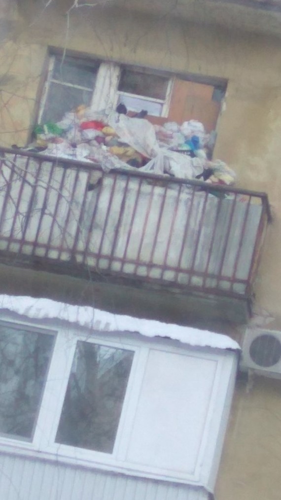 When too lazy to take out the trash - My, Garbage, Pigeon, Samara, Longpost