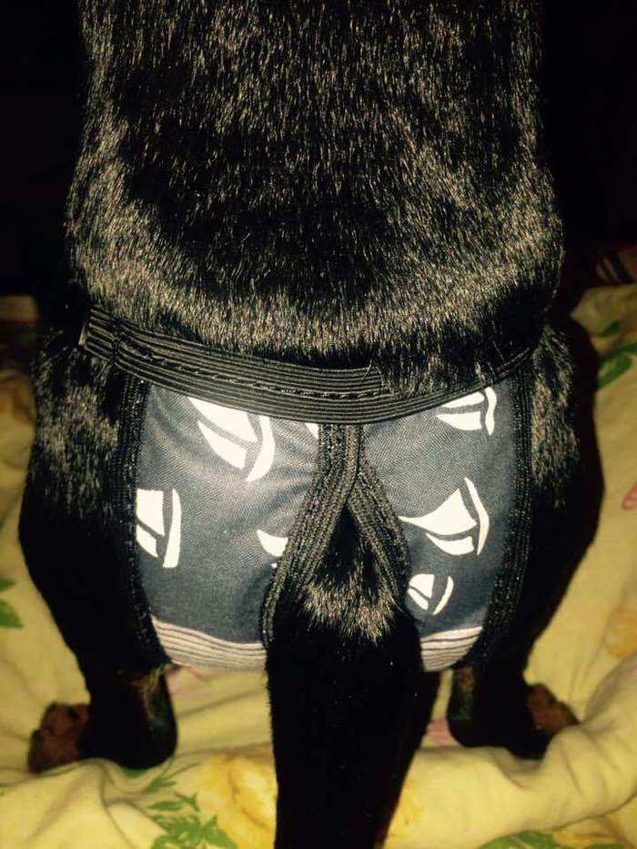 ����� �� ������-���������...