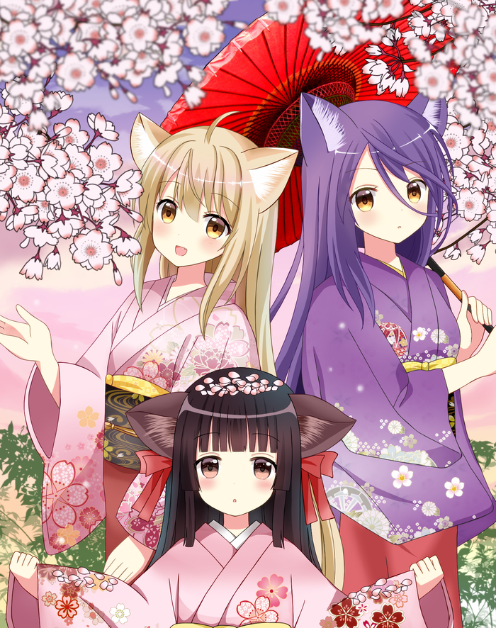 Konohana Kitan , Konohana Kitan, Anime Art, Kiri, 