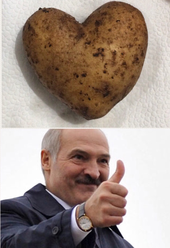 Father approves <3 - Potato, Bulba, Alexander Lukashenko, Daddy