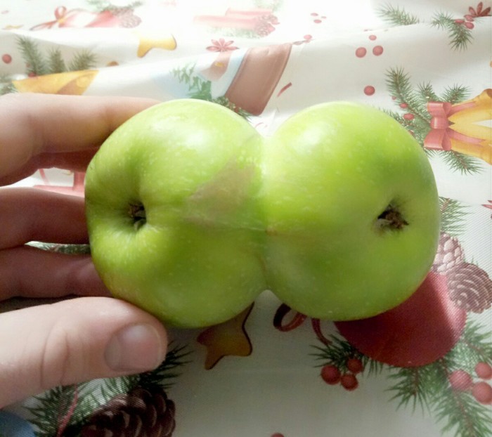 The apple that tempted Adam - My, Adam's apple, The photo, Unusual, Anomaly, Fantasy