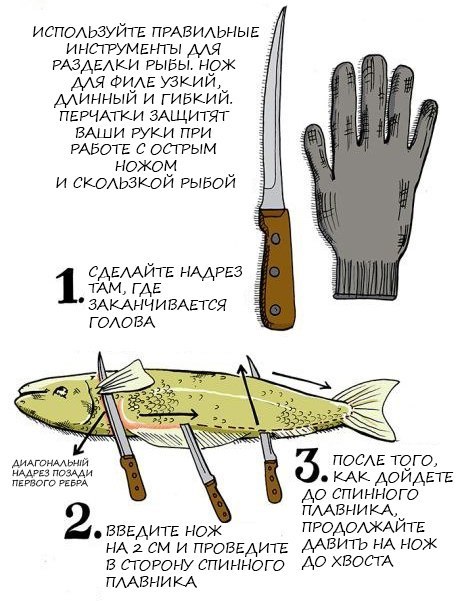 How to fillet fish - A fish, Cooking, The culinary underground