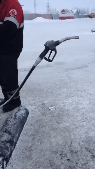 It's a bit cold in Siberia - Siberia, Father Frost, January, Snake charmer, GIF