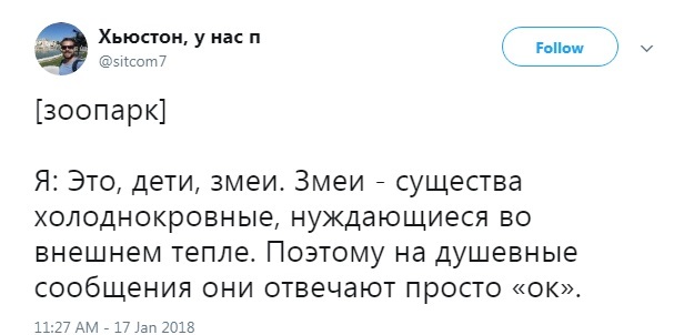 Змеи - Twitter, Змея, Сообщения