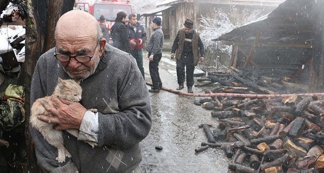 Pictured is 83-year-old Ali Mese from Turkey. - Old men, Fire, Animal Rescue, Turkey, cat