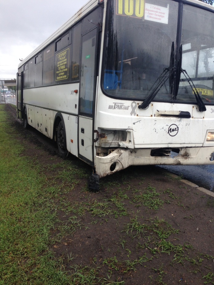 The story of one deer who thought he would have time - Saint Petersburg, Road accident, My, Longpost