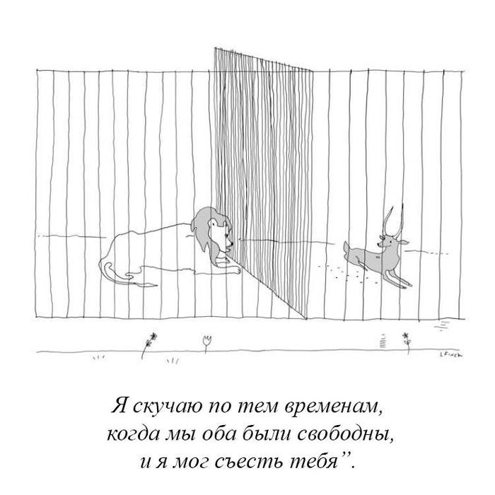   , , , , The New Yorker,  New Yorker
