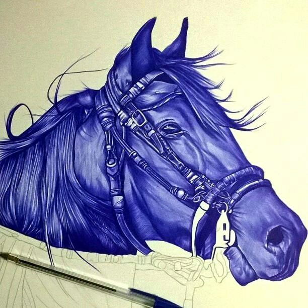 magic ballpoint pen - Drawing, Horses, Pen drawing, Longpost