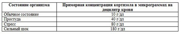 Oh, this cortisol, or training for 45 minutes - My, Sport, Sports Tips, Тренер, Training program, Muscle, Hormones, Stress, Health, Longpost