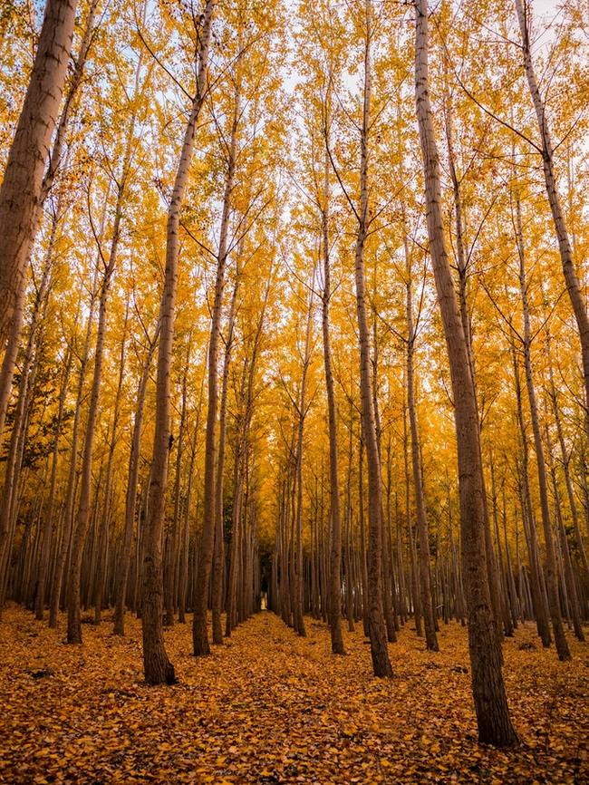 Хочу поделиться прекрасным сервисом для фотографий - Фотография, So amazing, Длиннопост, Невероятно