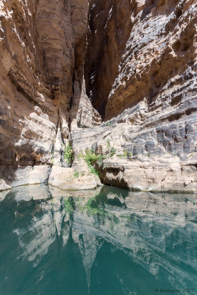 Reserve (National Park) Tassinin-Adjer - My, Desert, Longpost, Travels