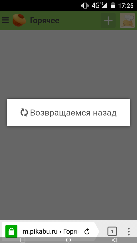 Необходимость опциональности возврата к последнему прочитанному в мобильной версии - Пикабу, Возврат, Фича, Настройки